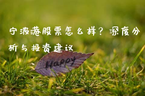 宁波港股票怎么样？深度分析与投资建议_https://www.fcdydaikuan.com_德指期货直播_第1张