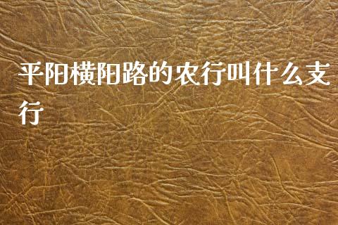平阳横阳路的农行叫什么支行_https://www.fcdydaikuan.com_恒指期货直播_第1张