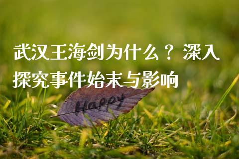 武汉王海剑为什么？ 深入探究事件始末与影响_https://www.fcdydaikuan.com_德指期货直播_第1张