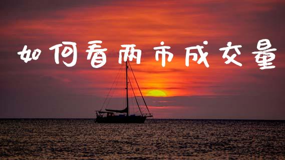 如何看两市成交量_https://www.fcdydaikuan.com_黄金期货直播_第1张