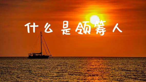 什么是领筹人_https://www.fcdydaikuan.com_恒指期货直播_第1张