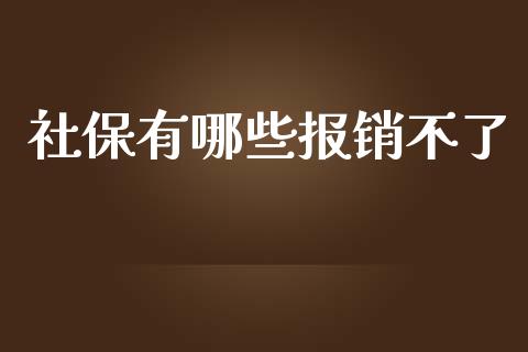 社保有哪些报销不了_https://www.fcdydaikuan.com_德指期货直播_第1张
