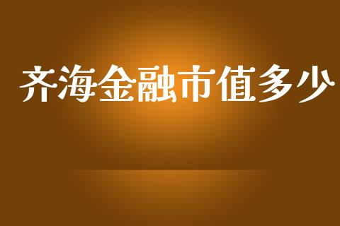 齐海金融市值多少_https://www.fcdydaikuan.com_德指期货直播_第1张