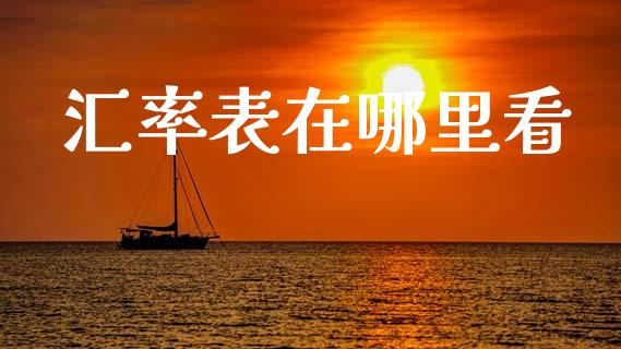 汇率表在哪里看_https://www.fcdydaikuan.com_黄金期货直播_第1张