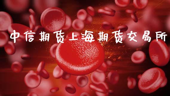中信期货上海期货交易所_https://www.fcdydaikuan.com_黄金期货直播_第1张