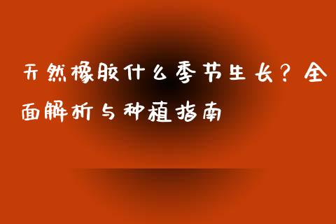 天然橡胶什么季节生长？全面解析与种植指南_https://www.fcdydaikuan.com_恒指期货直播_第1张