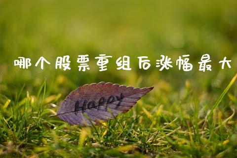 哪个股票重组后涨幅最大_https://www.fcdydaikuan.com_黄金期货直播_第1张