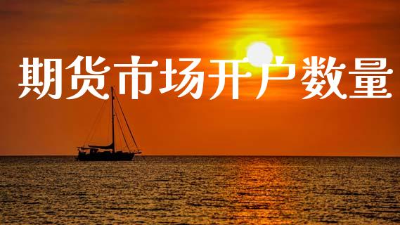期货市场开户数量_https://www.fcdydaikuan.com_德指期货直播_第1张