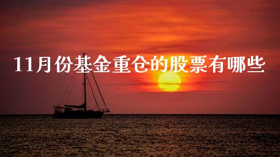11月份基金重仓的股票有哪些_https://www.fcdydaikuan.com_黄金期货直播_第1张