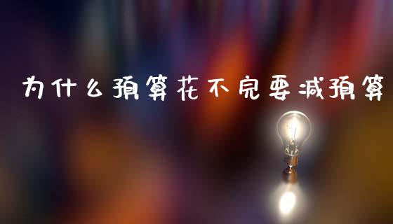 为什么预算花不完要减预算_https://www.fcdydaikuan.com_黄金期货直播_第1张