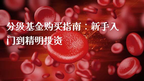 分级基金购买指南:新手入门到精明投资_德指期货直播_第1张_恒生指数直播室_恒指期货直播_德指期货直播_黄金期货直播 分级基金购买指南:新手入门到精明投资_https://www.fcdydaikuan.com_德指期货直播_第1张
