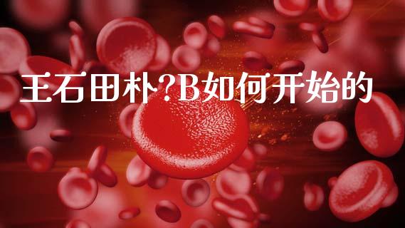 王石田朴?B如何开始的_https://www.fcdydaikuan.com_恒指期货直播_第1张