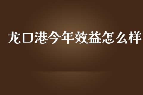 龙口港今年效益怎么样_https://www.fcdydaikuan.com_恒生指数直播室_第1张