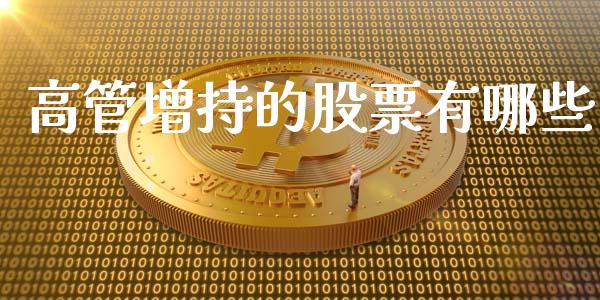 高管增持的股票有哪些_https://www.fcdydaikuan.com_黄金期货直播_第1张