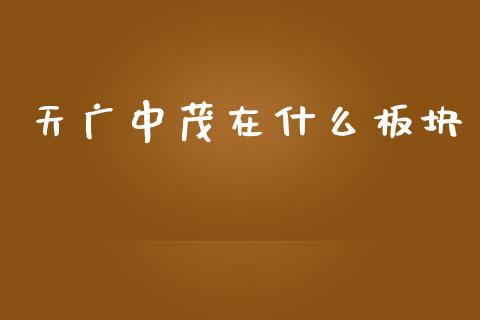天广中茂在什么板块_https://www.fcdydaikuan.com_黄金期货直播_第1张