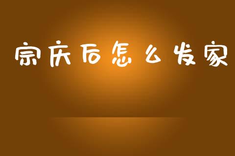 宗庆后怎么发家_https://www.fcdydaikuan.com_黄金期货直播_第1张