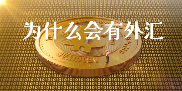 为什么会有外汇_https://www.fcdydaikuan.com_德指期货直播_第1张