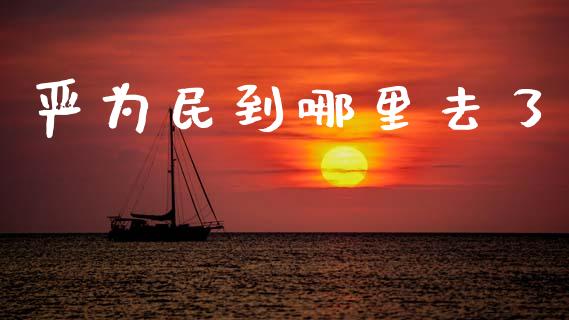 严为民到哪里去了_https://www.fcdydaikuan.com_德指期货直播_第1张