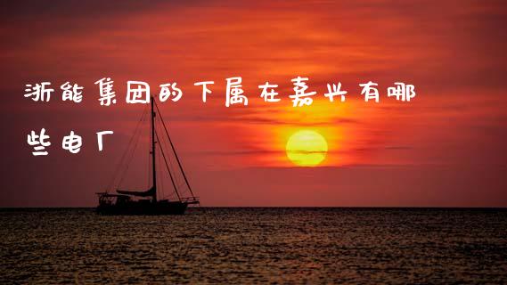 浙能集团的下属在嘉兴有哪些电厂_https://www.fcdydaikuan.com_德指期货直播_第1张