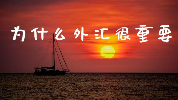 为什么外汇很重要_https://www.fcdydaikuan.com_黄金期货直播_第1张