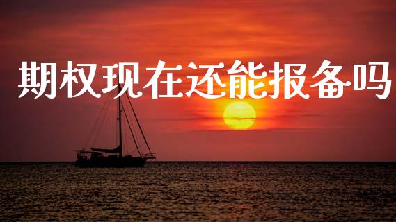 期权现在还能报备吗_https://www.fcdydaikuan.com_恒生指数直播室_第1张