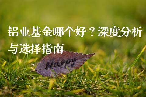 铝业基金哪个好？深度分析与选择指南_https://www.fcdydaikuan.com_黄金期货直播_第1张