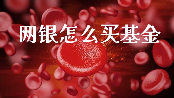 网银怎么买基金_https://www.fcdydaikuan.com_黄金期货直播_第1张