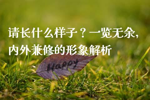 请长什么样子？一览无余，内外兼修的形象解析_https://www.fcdydaikuan.com_德指期货直播_第1张