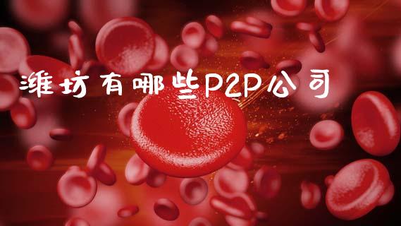 潍坊有哪些P2P公司_https://www.fcdydaikuan.com_黄金期货直播_第1张