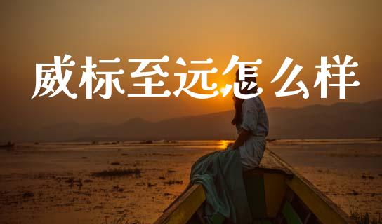 威标至远怎么样_https://www.fcdydaikuan.com_恒指期货直播_第1张