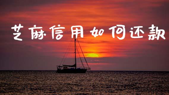 芝麻信用如何还款_https://www.fcdydaikuan.com_恒指期货直播_第1张