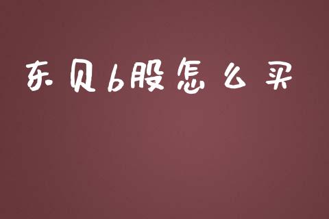 东贝b股怎么买_https://www.fcdydaikuan.com_恒指期货直播_第1张