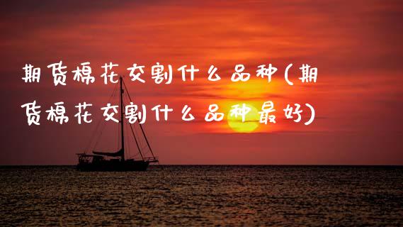 期货棉花交割什么品种(期货棉花交割什么品种最好)_https://www.fcdydaikuan.com_黄金期货直播_第1张