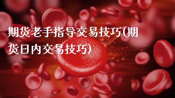 期货老手指导交易技巧(期货日内交易技巧)_https://www.fcdydaikuan.com_黄金期货直播_第1张