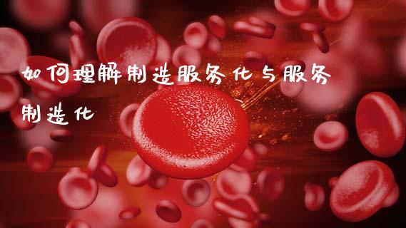 如何理解制造服务化与服务制造化_https://www.fcdydaikuan.com_恒指期货直播_第1张