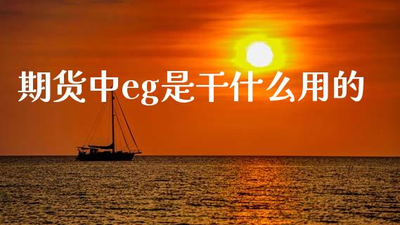 期货中eg是干什么用的_https://www.fcdydaikuan.com_恒生指数直播室_第1张