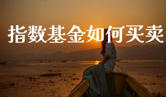 指数基金如何买卖_https://www.fcdydaikuan.com_德指期货直播_第1张