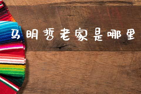 马明哲老家是哪里_https://www.fcdydaikuan.com_黄金期货直播_第1张