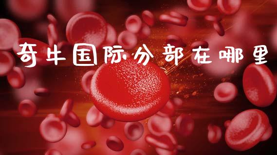 奇牛国际分部在哪里_https://www.fcdydaikuan.com_德指期货直播_第1张