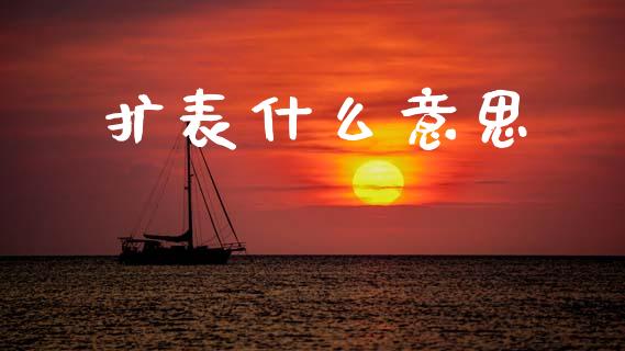 扩表什么意思_https://www.fcdydaikuan.com_黄金期货直播_第1张