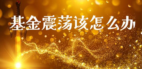 基金震荡该怎么办_https://www.fcdydaikuan.com_德指期货直播_第1张