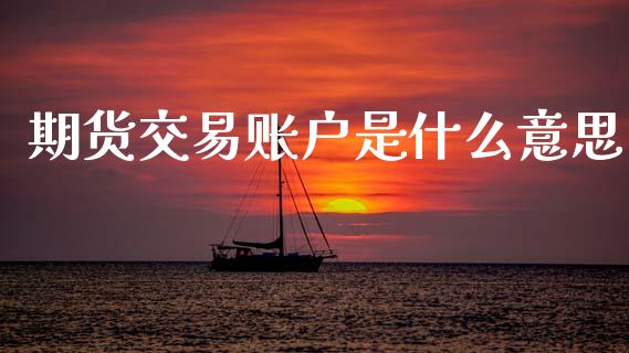 期货交易账户是什么意思_https://www.fcdydaikuan.com_黄金期货直播_第1张