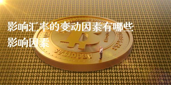影响汇率的变动因素有哪些影响因素_https://www.fcdydaikuan.com_德指期货直播_第1张