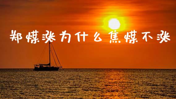 郑煤涨为什么焦煤不涨_https://www.fcdydaikuan.com_恒指期货直播_第1张