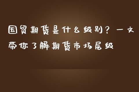 国贸期货是什么级别?一文带你了解期货市场层级_恒生指数直播室_第1张_恒生指数直播室_恒指期货直播_德指期货直播_黄金期货直播 国贸期货是什么级别?一文带你了解期货市场层级_https://www.fcdydaikuan.com_恒生指数直播室_第1张
