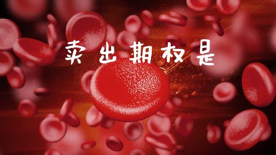 卖出期权是_https://www.fcdydaikuan.com_恒指期货直播_第1张