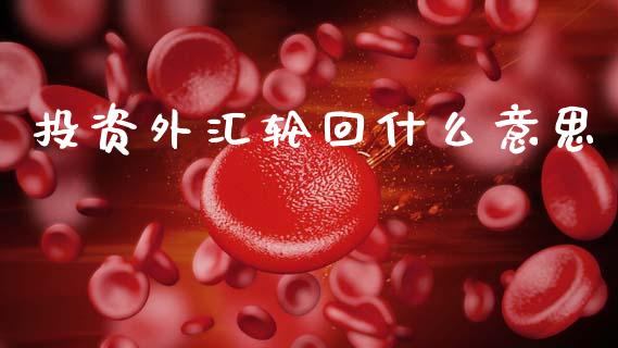 投资外汇轮回什么意思_https://www.fcdydaikuan.com_黄金期货直播_第1张