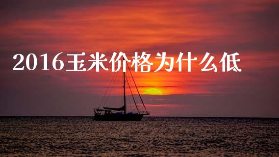 2016玉米价格为什么低_https://www.fcdydaikuan.com_德指期货直播_第1张
