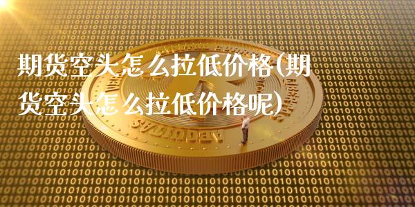 期货空头怎么拉低价格(期货空头怎么拉低价格呢)_https://www.fcdydaikuan.com_黄金期货直播_第1张