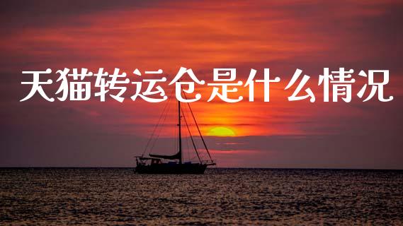 天猫转运仓是什么情况_https://www.fcdydaikuan.com_恒生指数直播室_第1张